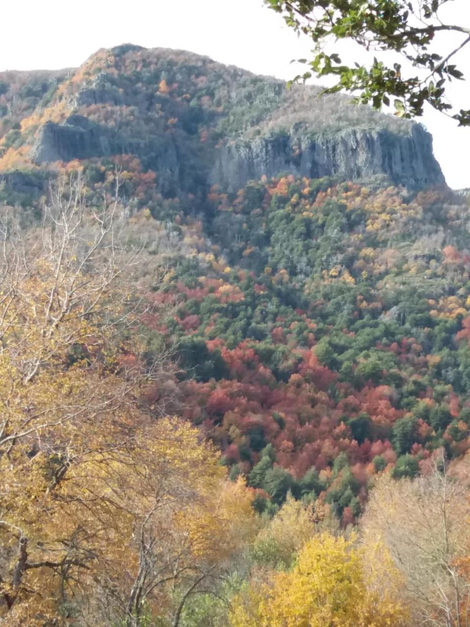 La De Piedra Lodge *